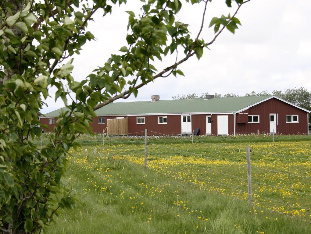 Kaldbakur Guesthouse Heimaland Exterior photo